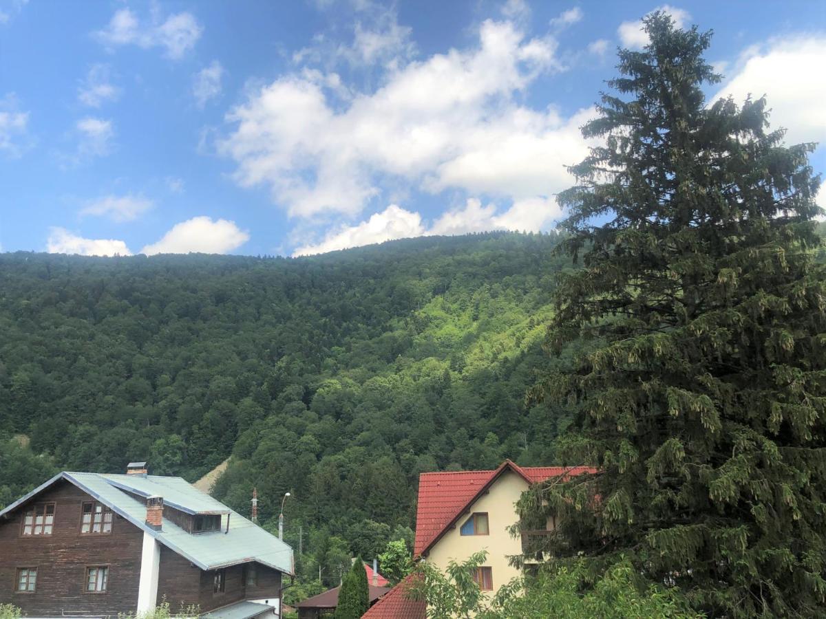 Holiday Home In Sinaia Bagian luar foto