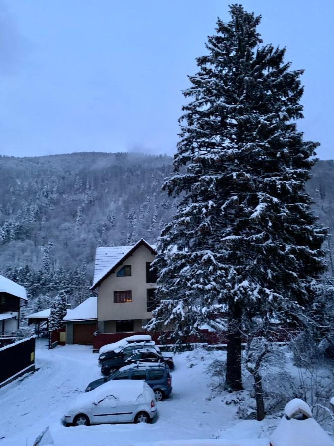 Holiday Home In Sinaia Bagian luar foto