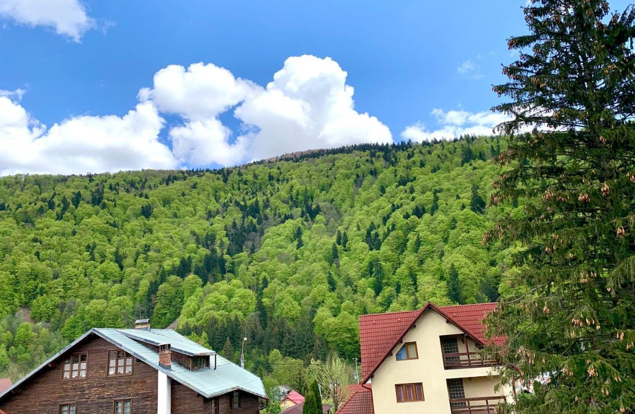 Holiday Home In Sinaia Bagian luar foto