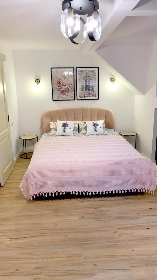 Holiday Home In Sinaia Bagian luar foto
