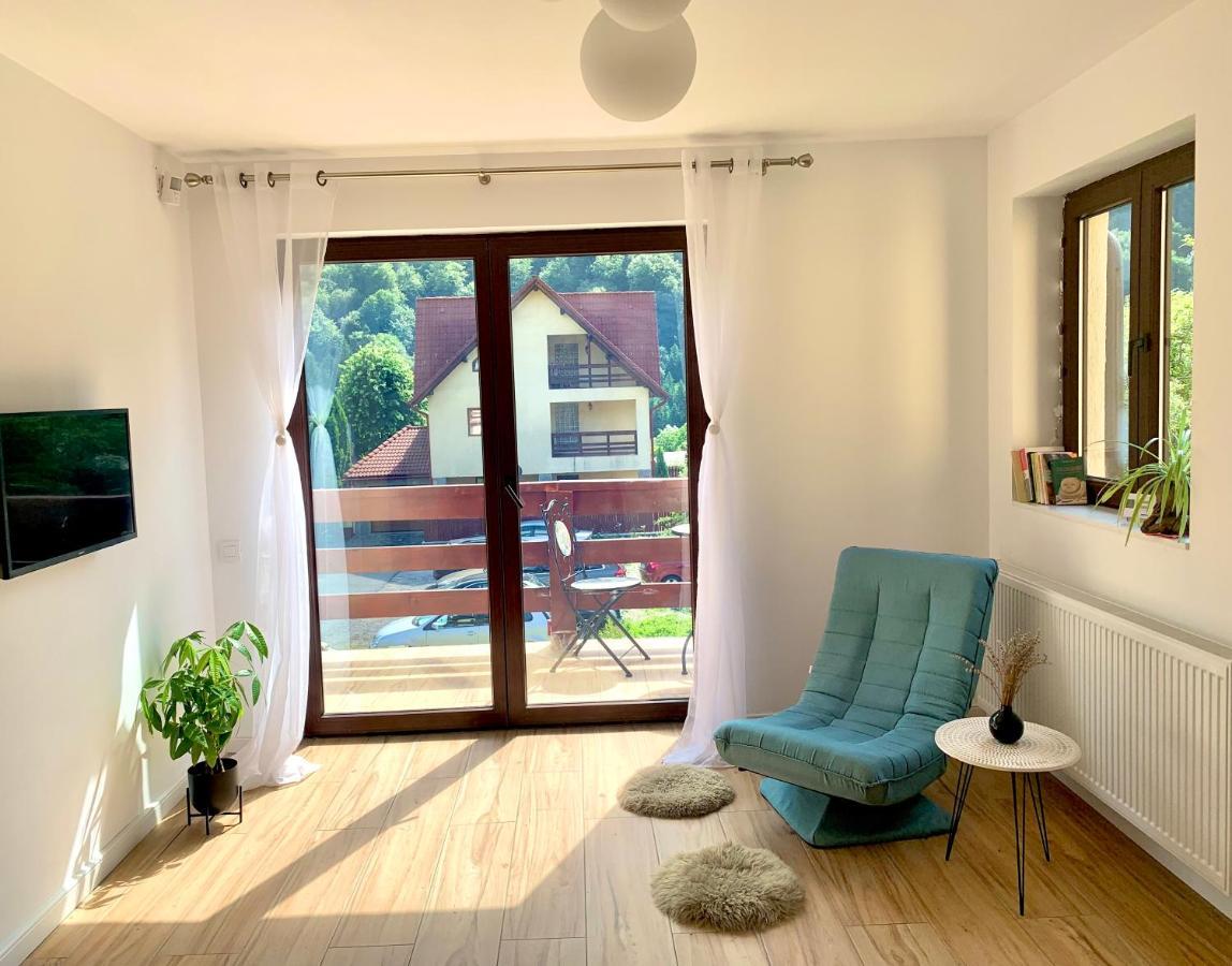 Holiday Home In Sinaia Bagian luar foto